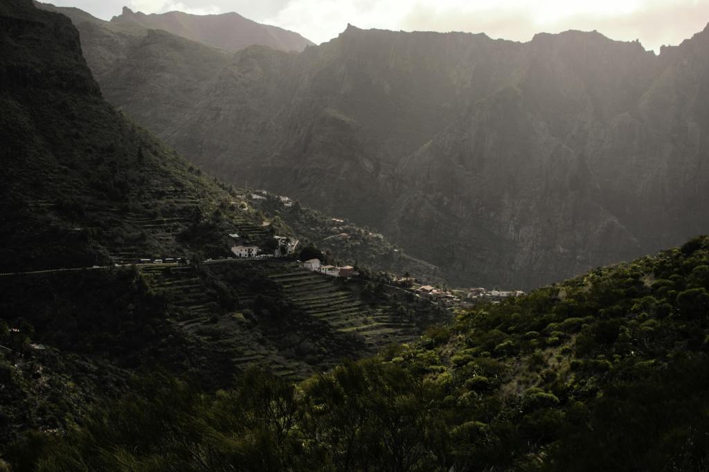 Flying down the&nbsp;hill